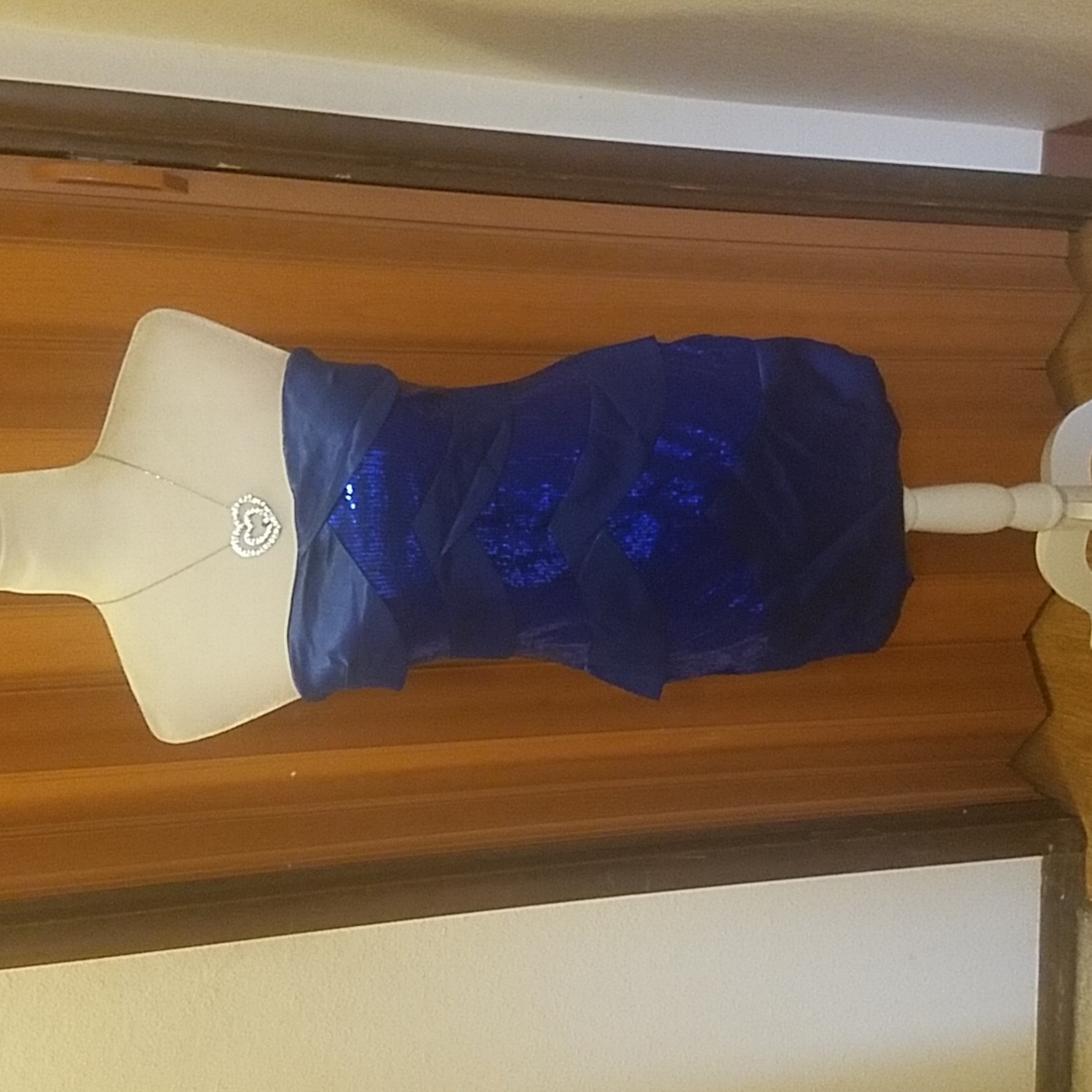 DAY & NIGHT COBALT BLUE DRESS